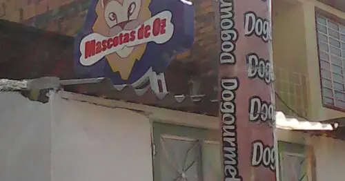 MASCOTAS DE OZ MASCOTAS DE OZ
